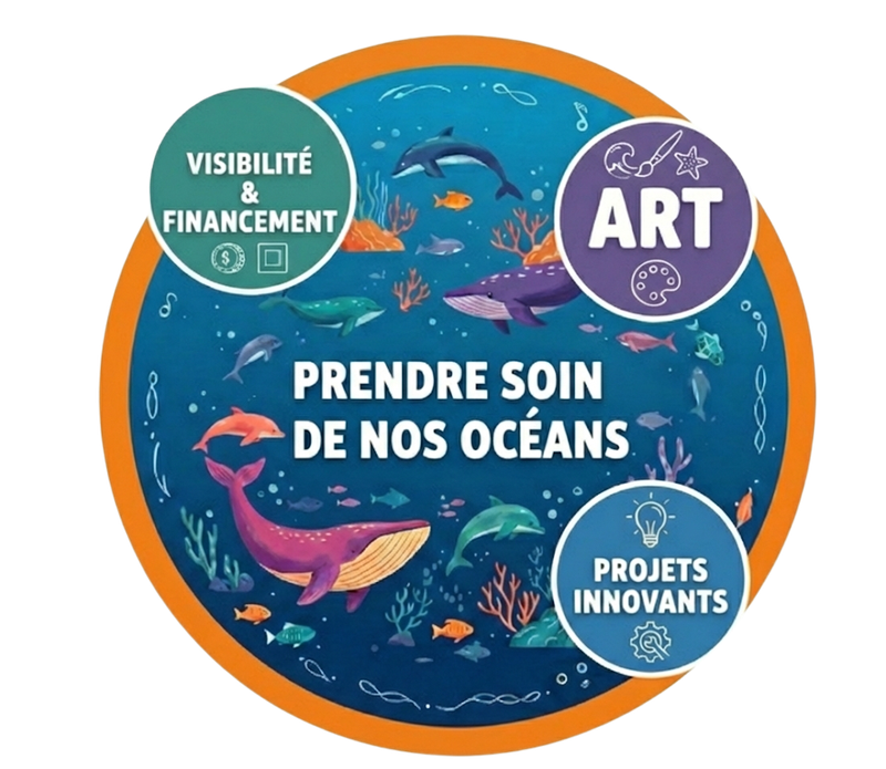 Prendre soin de nos océans : Art, Visibilité & Financement, Projets innovants